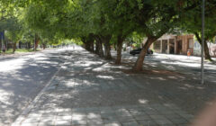 Brique da Redenção na pandemia