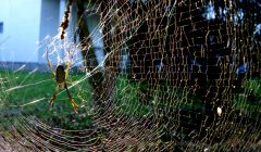 A beleza da natureza