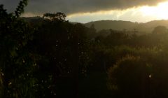 Temporal de verão chegando