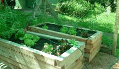 Canteiros que não sacrificam as costas