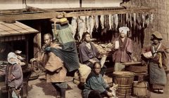 a2a42f6c14b1556427c21a6f219353b5